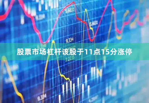 股票市场杠杆该股于11点15分涨停