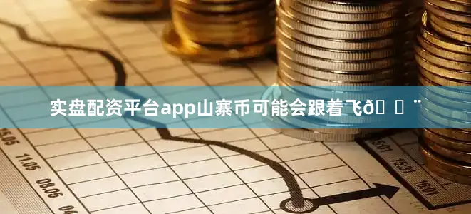 实盘配资平台app山寨币可能会跟着飞💨