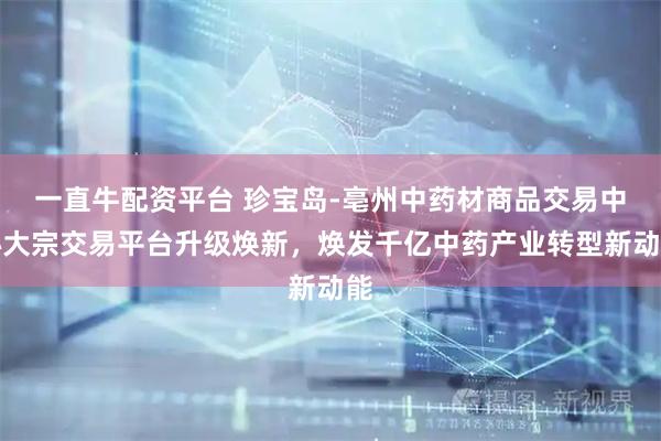 一直牛配资平台 珍宝岛-亳州中药材商品交易中心大宗交易平台升级焕新，焕发千亿中药产业转型新动能