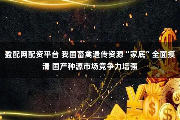 盈配网配资平台 我国畜禽遗传资源“家底”全面摸清 国产种源市场竞争力增强